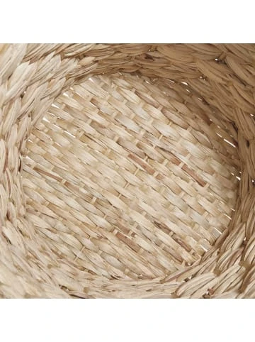 Besorgen 🧨 Dekoration Butlers Ananaskorb Ø35cm PINEAPPLE In Natur Günstig Kaufen ⭐ – Bild 7