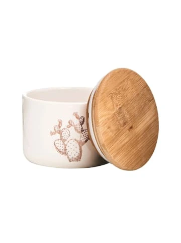 Budget ✔️ Küche Butlers Aufbewahrungsdose Kaktus 400ml QUEEN IT In Weiß Günstig Kaufen ⭐ – Bild 2