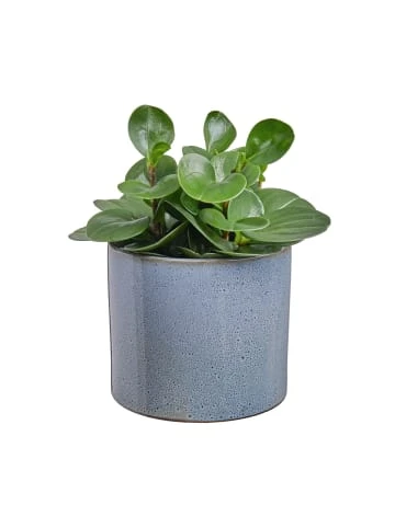 Auslauf 🛒 Dekoration Butlers Blumentopf Glasiert Ø17cm GLAZE In Hellblau Günstig Kaufen 🥰 – Bild 2