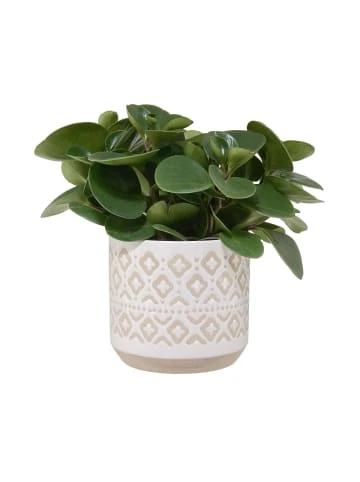 Angebote 🎁 Dekoration Butlers Blumentopf Ø18cm ETHNO In Weiß Günstig Kaufen ⌛ – Bild 2