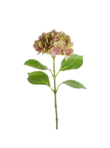 Blitzangebot ✨ Garten & Balkon Butlers Hortensie Länge 66cm FLORISTA In Pastellrot Günstig Kaufen ✔️ – Bild 2