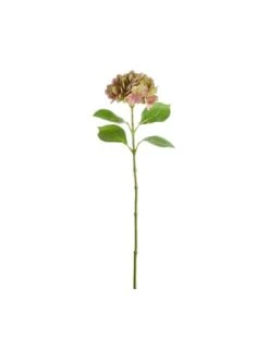 Blitzangebot ✨ Garten & Balkon Butlers Hortensie Länge 66cm FLORISTA In Pastellrot Günstig Kaufen ✔️