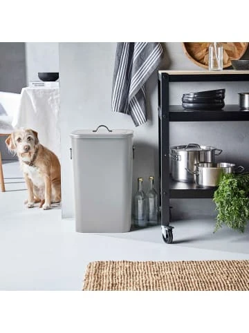 Aktion 🔔 Haushalt Butlers Mülleimer 41 Liter BINSTER In Grau Günstig Kaufen 🔥 – Bild 2