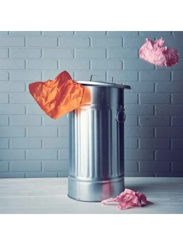 Aktion 💯 Haushalt Butlers Mülltonne 'Oskar' 40l ZINC In Silber Günstig Kaufen ✨ – Bild 4