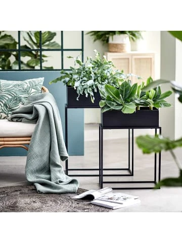 Auslauf 🤩 Garten & Balkon Butlers Pflanzkasten Mit Gestell B 55 X T 25cm PLANTA In Schwarz Günstig Kaufen 😍 – Bild 2