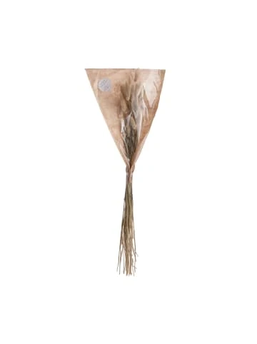 Blitzangebot 🎉 Dekoration Butlers Trockenblumen Lagurusgras Länge 70cm FLOWER MARKET In Natur Günstig Kaufen ✨ – Bild 4